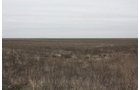 Property photo 12 - Kansas Land Auction - 960 Acres - 7 Farms in 3 Counties